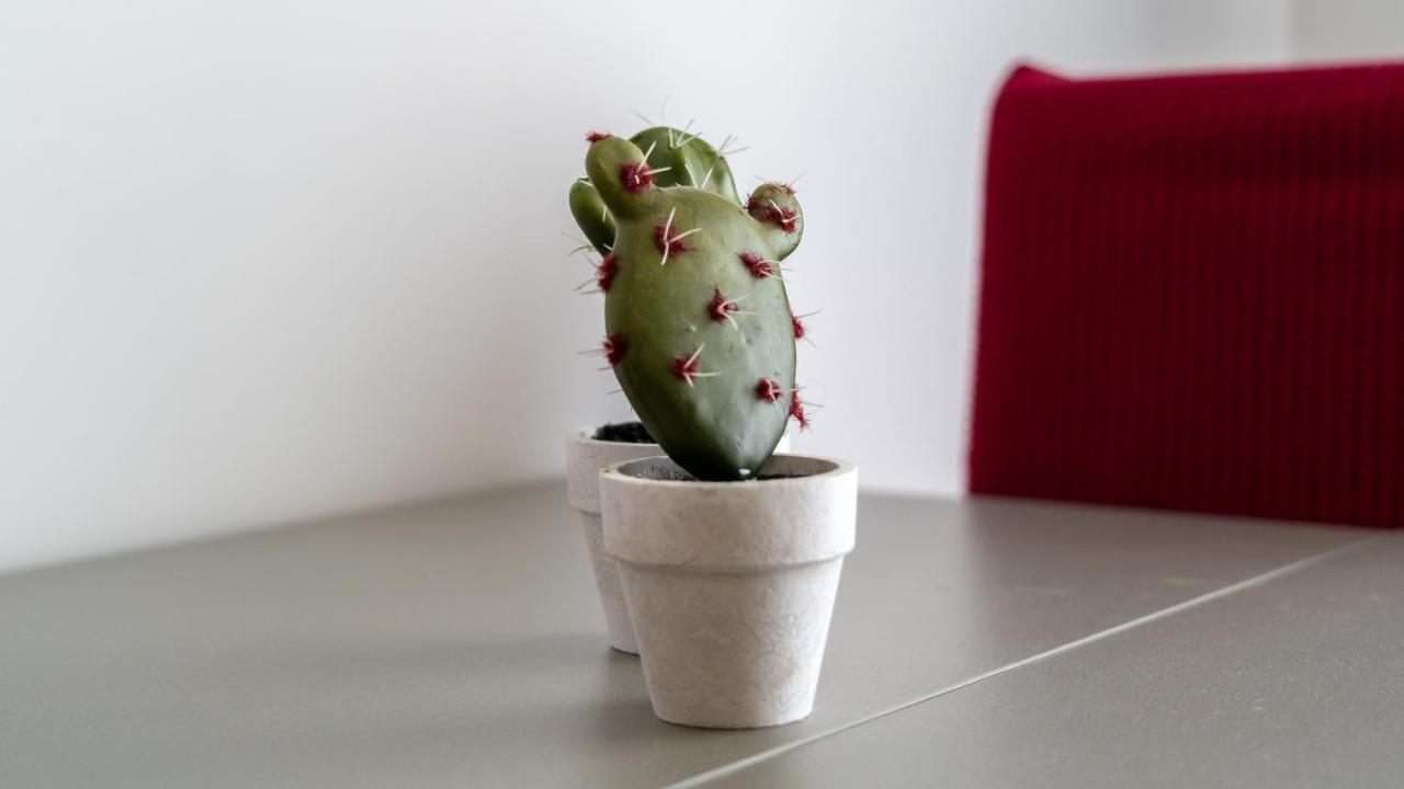 T3 North Wave Apartment ナザレ エクステリア 写真